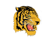 Tiger Taekwondo Academy